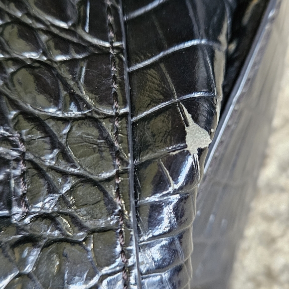 Brahmin - Picture 7 of 7